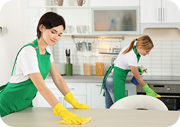 Professional home and office cleaning service